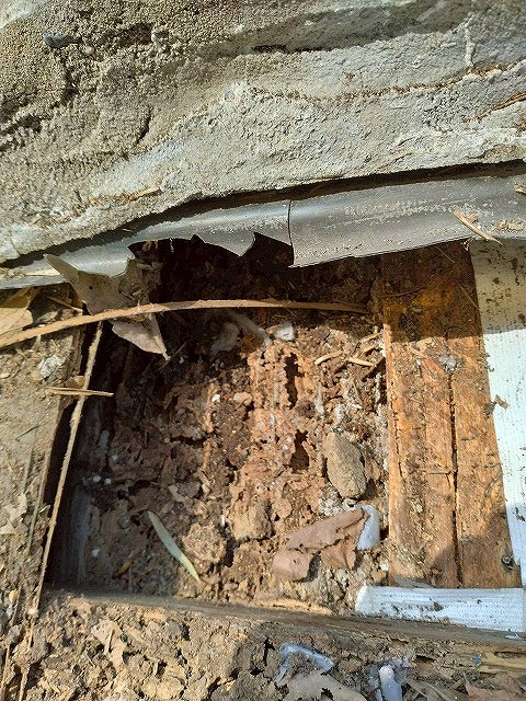 綾歌郡　屋根撤去後の傷んだ下地